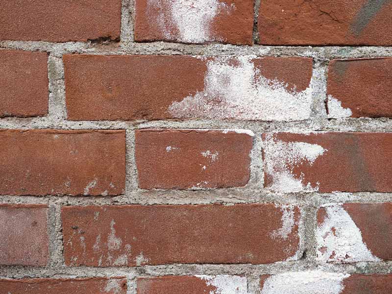  efflorescence on red brick wall